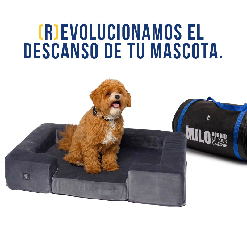 Silver paw 2024 milo dog bed